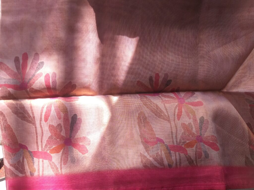 Image #3 from Rajani