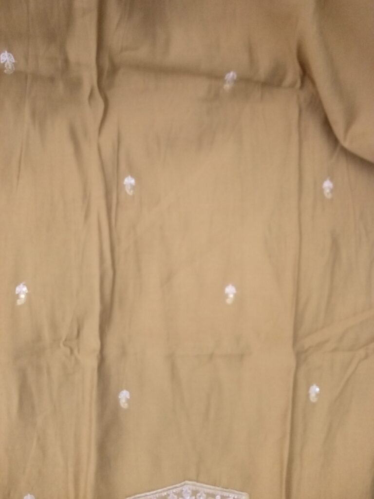 Image #2 from Srishti Panday