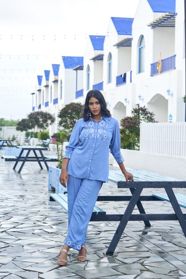 Sky Charm - Sky Blue Embroidered Co-ord Set