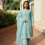 Heavy Embroidery Neck Shimmer suit set