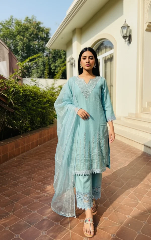 Heavy Embroidery Neck Shimmer suit set